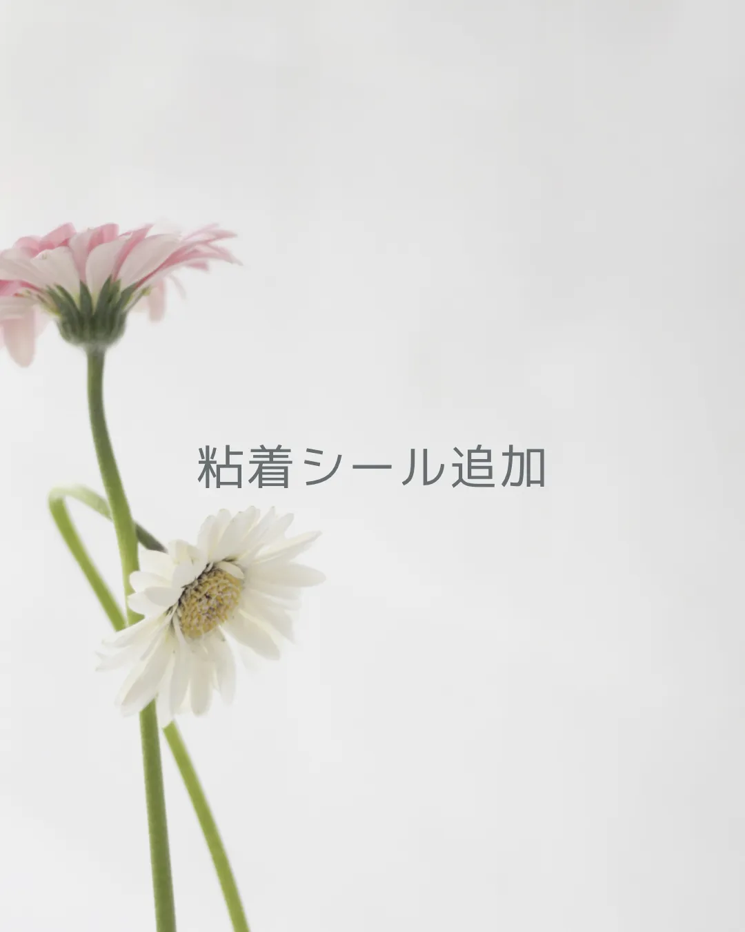 粘着シール（追加購入）