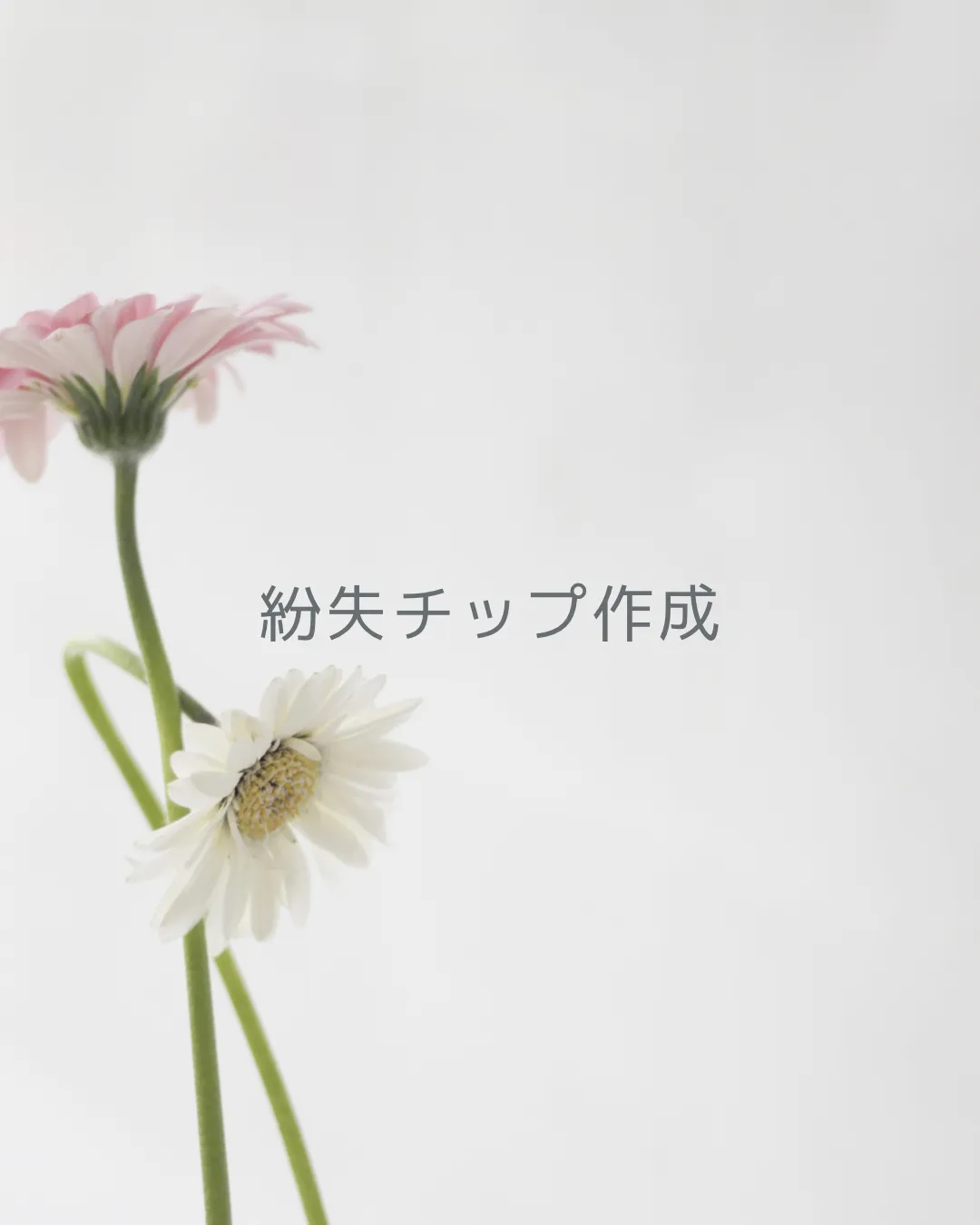 紛失チップ作成