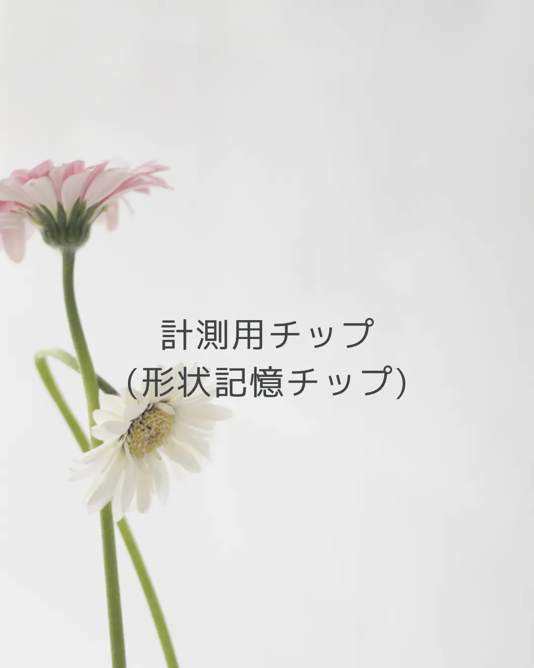 サイズ計測用チップ(事前購入希望の方)